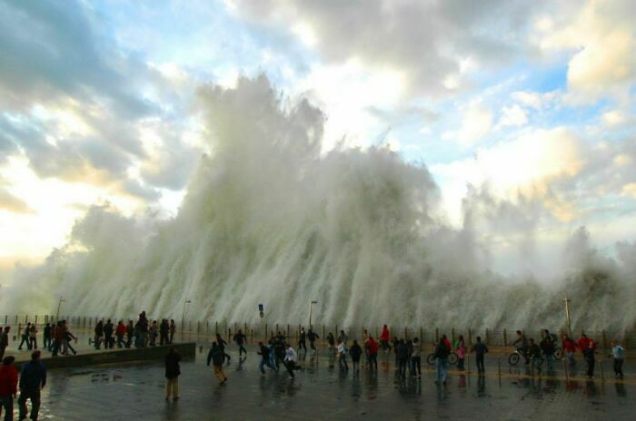 90 Perfectly Timed Photos That Are Better Than Any Photoshop