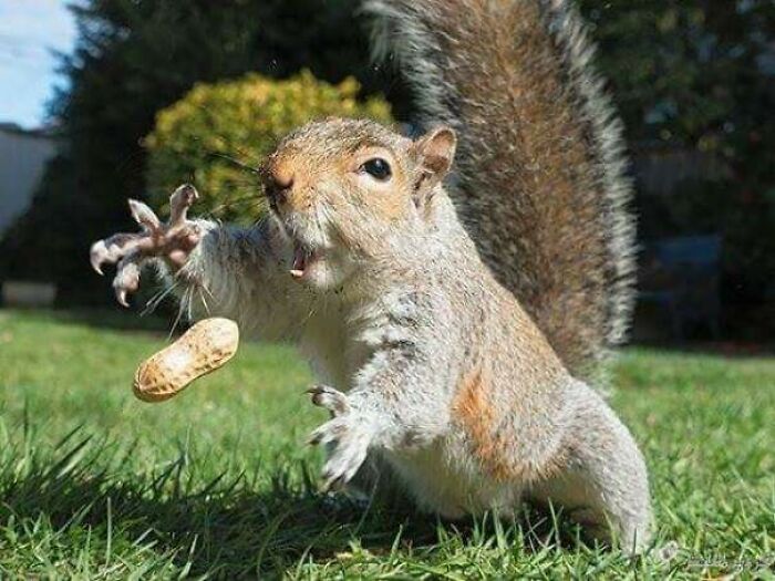 90 Perfectly Timed Photos That Are Better Than Any Photoshop