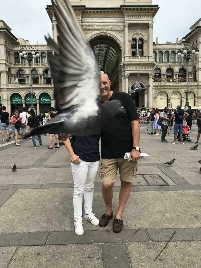 90 Perfectly Timed Photos That Are Better Than Any Photoshop