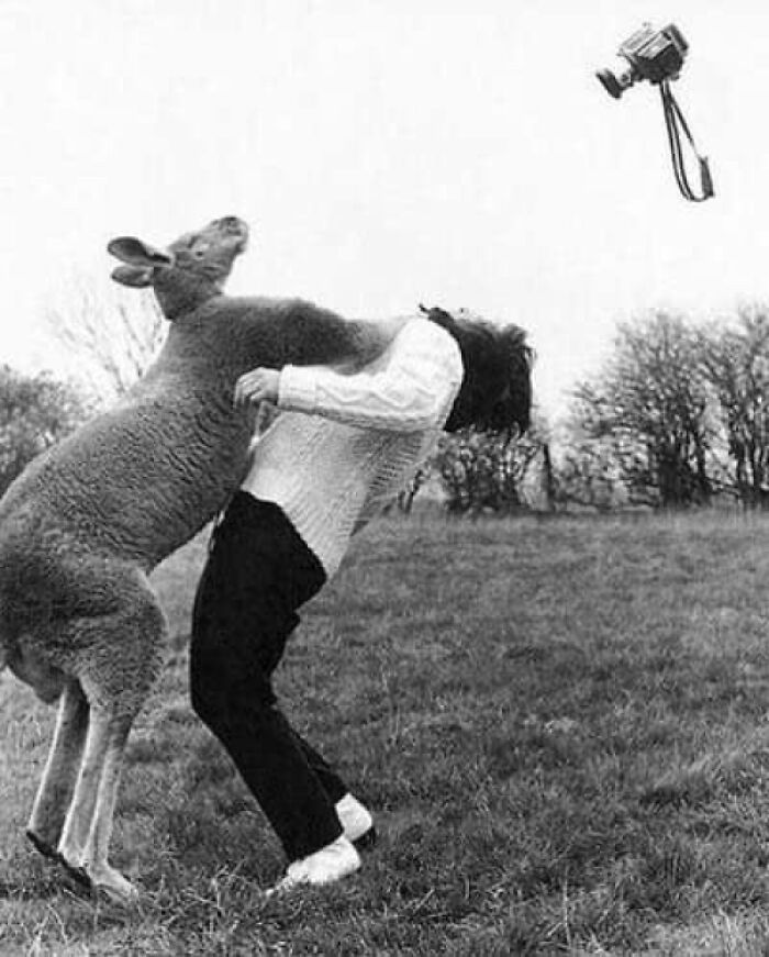 90 Perfectly Timed Photos That Are Better Than Any Photoshop