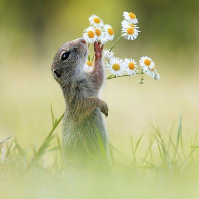 90 Perfectly Timed Photos That Are Better Than Any Photoshop