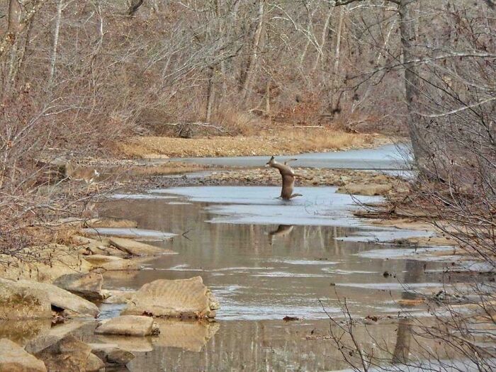 90 Perfectly Timed Photos That Are Better Than Any Photoshop