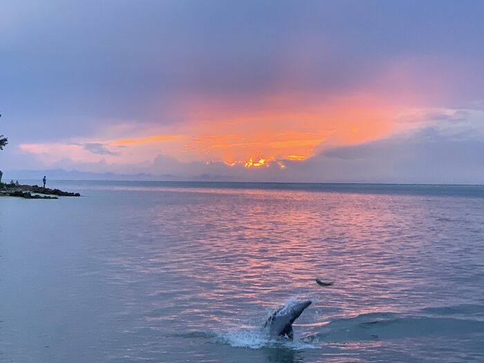 90 Perfectly Timed Photos That Are Better Than Any Photoshop