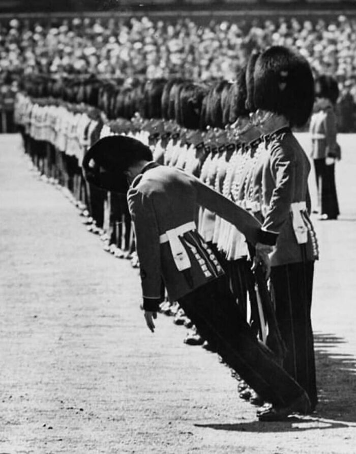 90 Perfectly Timed Photos That Are Better Than Any Photoshop