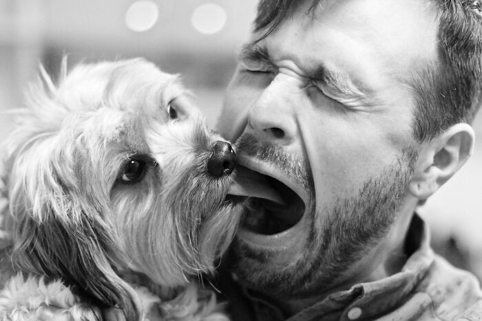 90 Perfectly Timed Photos That Are Better Than Any Photoshop