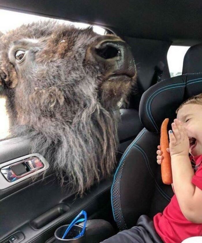 90 Perfectly Timed Photos That Are Better Than Any Photoshop