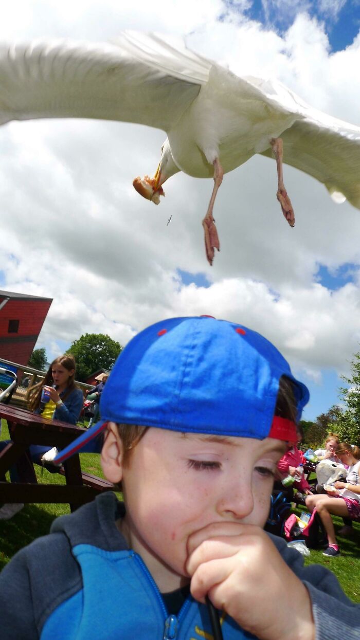 90 Perfectly Timed Photos That Are Better Than Any Photoshop