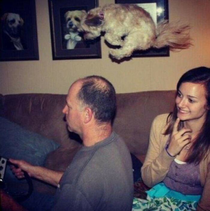 90 Perfectly Timed Photos That Are Better Than Any Photoshop