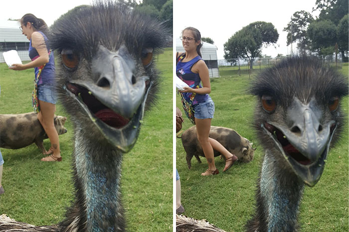 90 Perfectly Timed Photos That Are Better Than Any Photoshop