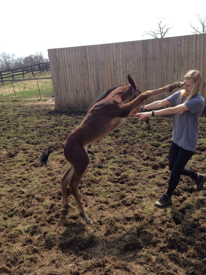 90 Perfectly Timed Photos That Are Better Than Any Photoshop