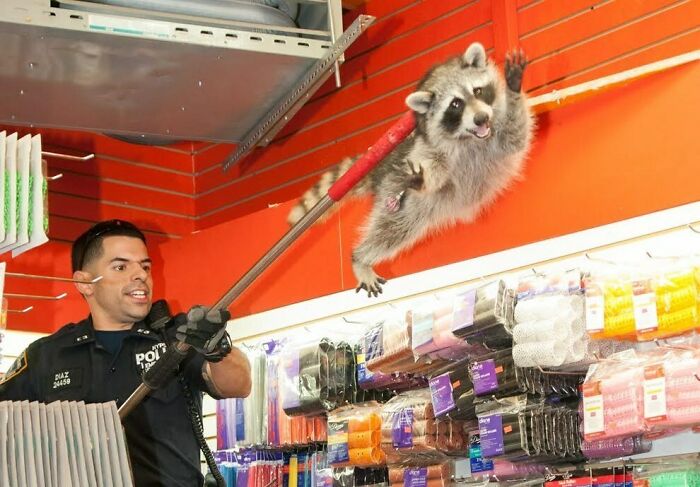 90 Perfectly Timed Photos That Are Better Than Any Photoshop