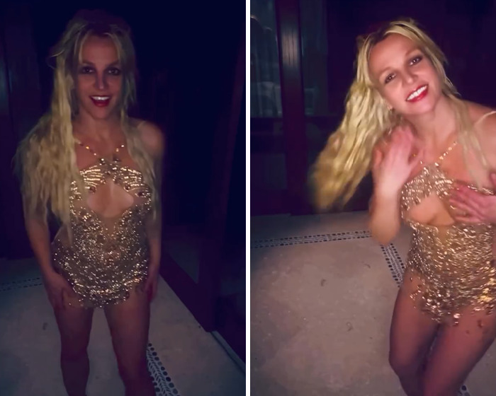 Britney Spears’ Inner Circle &#8220;Terrified&#8221; As Behavior Grows Darker With Dog Poop Incident