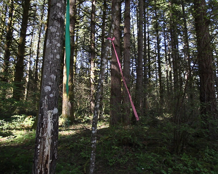 Teen Chewed Through Ropes To Escape Homicide In Serial Spree, Survival Story Resurfaces In Podcast
