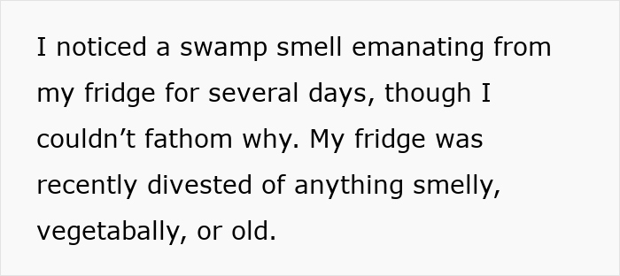 Woman Rehydrates Frog That Somehow Wound Up In Her Fridge, Shares How He Got A New Lease On Life