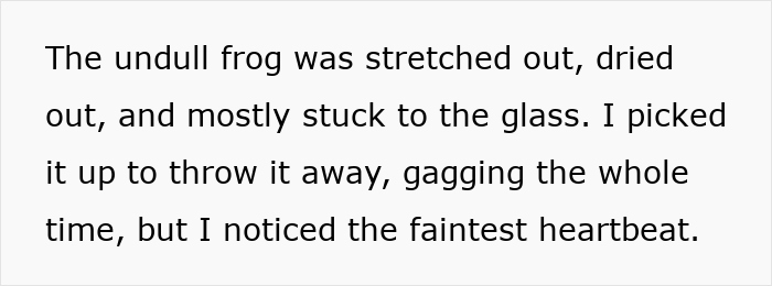 Woman Rehydrates Frog That Somehow Wound Up In Her Fridge, Shares How He Got A New Lease On Life