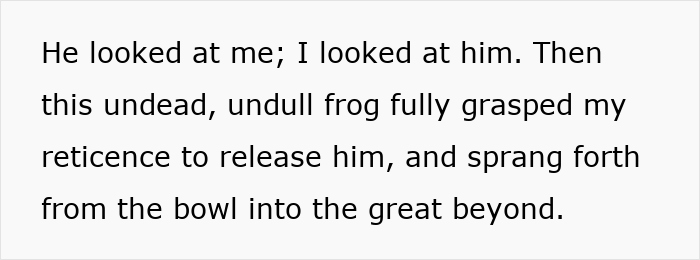 Woman Rehydrates Frog That Somehow Wound Up In Her Fridge, Shares How He Got A New Lease On Life