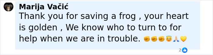 Woman Rehydrates Frog That Somehow Wound Up In Her Fridge, Shares How He Got A New Lease On Life