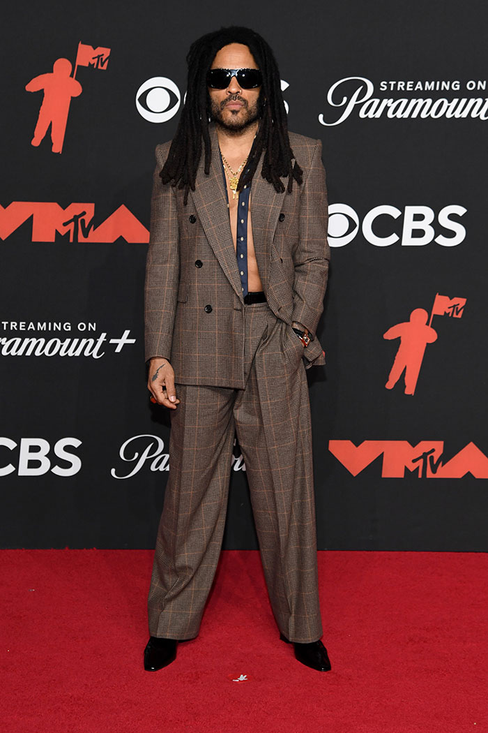 15 Celebrities Who Nailed Their Looks At The 2025 VMAs, Including Lenny Kravitz