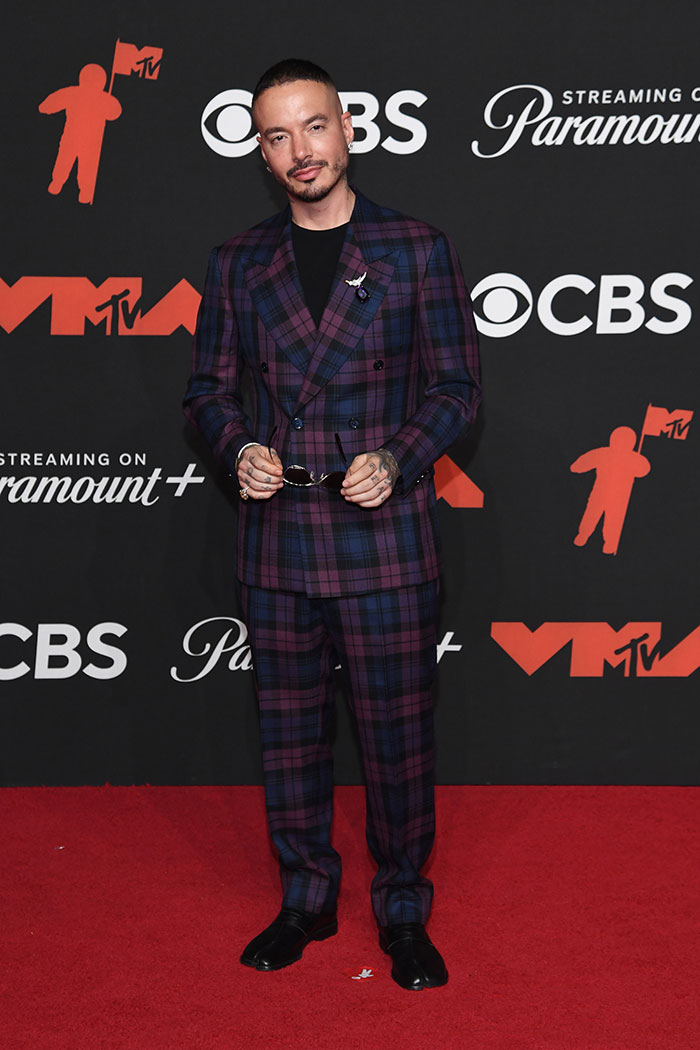 15 Celebrities Who Nailed Their Looks At The 2025 VMAs, Including Lenny Kravitz