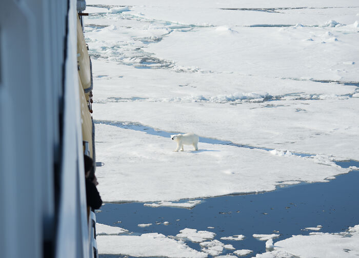 I’ve Traveled The World For Years, But The Arctic Left Me Speechless