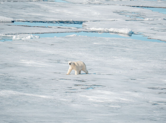 I’ve Traveled The World For Years, But The Arctic Left Me Speechless