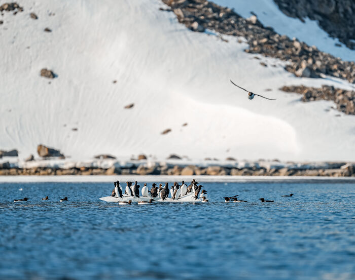 I’ve Traveled The World For Years, But The Arctic Left Me Speechless