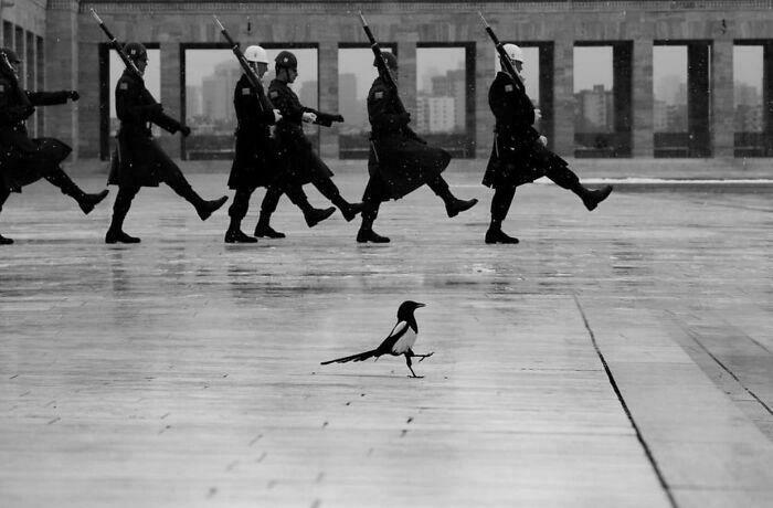 141 Beautiful &#8220;Accidental Renaissance&#8221; Photos That Could Hang In A Museum (New Pics)