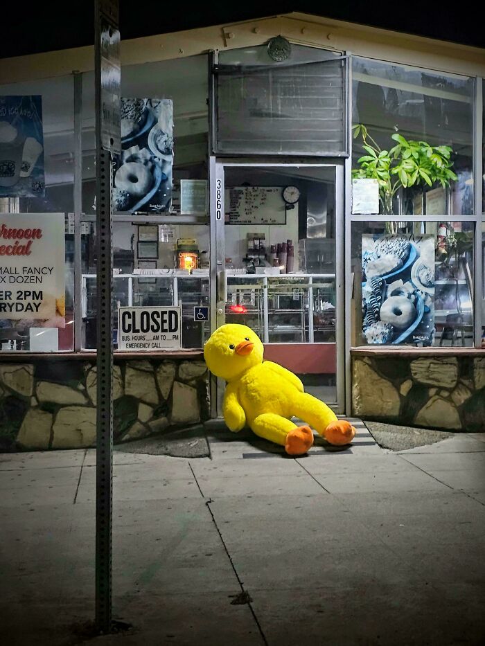 141 Beautiful &#8220;Accidental Renaissance&#8221; Photos That Could Hang In A Museum (New Pics)