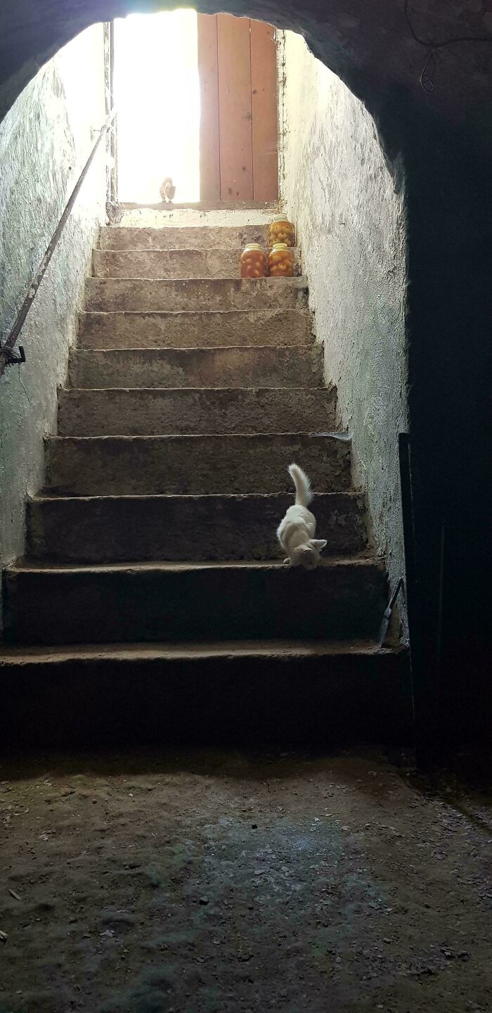 141 Beautiful &#8220;Accidental Renaissance&#8221; Photos That Could Hang In A Museum (New Pics)