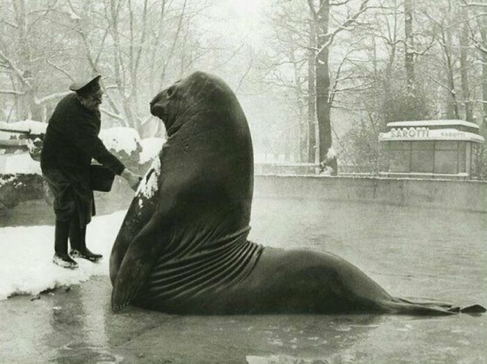 83 Historical Photos That Are Too Weird, Wild, Or Wonderful To Be Forgotten