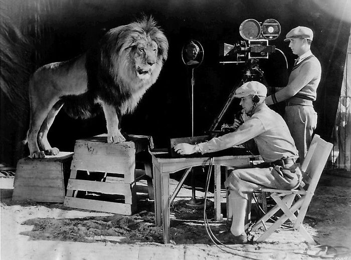 83 Historical Photos That Are Too Weird, Wild, Or Wonderful To Be Forgotten