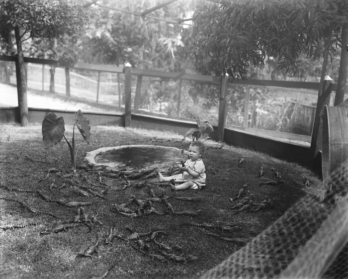 83 Historical Photos That Are Too Weird, Wild, Or Wonderful To Be Forgotten