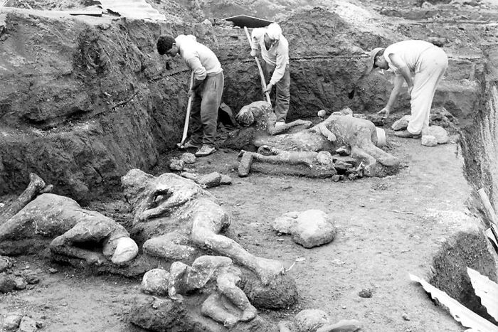 83 Historical Photos That Are Too Weird, Wild, Or Wonderful To Be Forgotten