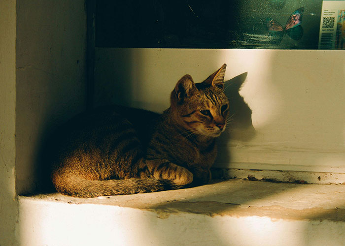 80 Hidden Gems People Discovered After Moving Into Their New Homes