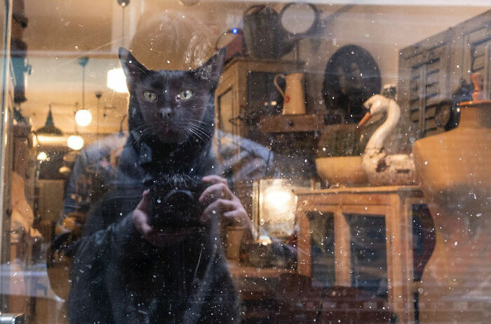 36 New Street Photographs By This Photographer Who Proves That Timing Is Everything