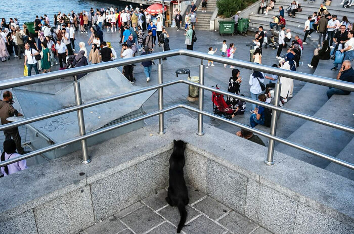 36 New Street Photographs By This Photographer Who Proves That Timing Is Everything