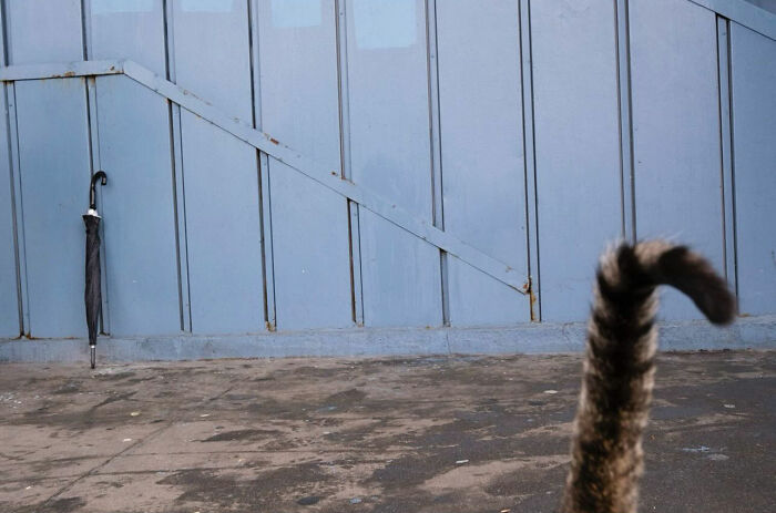 36 New Street Photographs By This Photographer Who Proves That Timing Is Everything