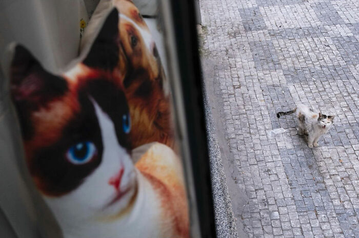 36 New Street Photographs By This Photographer Who Proves That Timing Is Everything