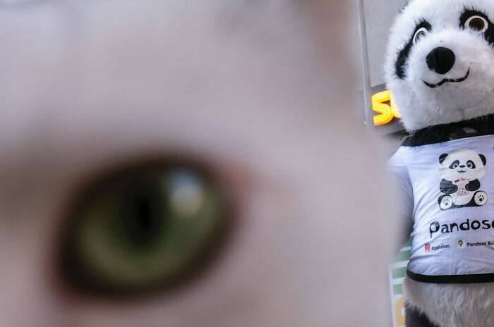 36 New Street Photographs By This Photographer Who Proves That Timing Is Everything