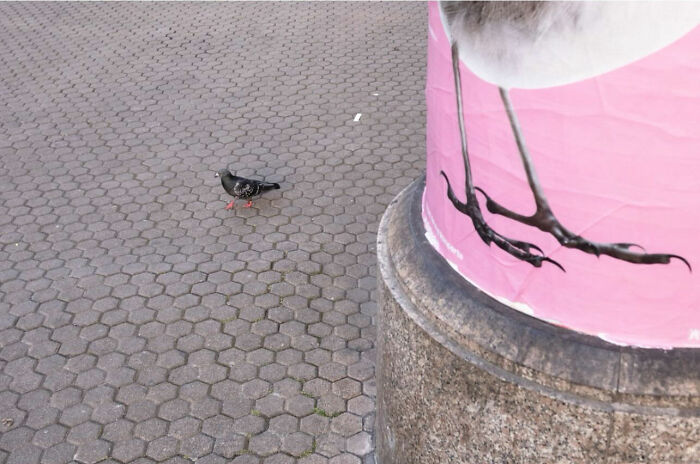 36 New Street Photographs By This Photographer Who Proves That Timing Is Everything