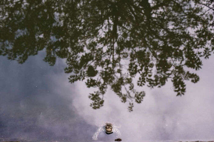 36 New Street Photographs By This Photographer Who Proves That Timing Is Everything