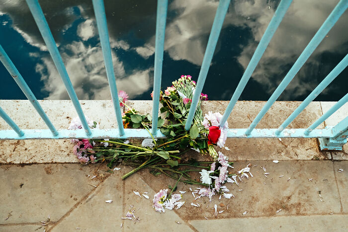 24 Photos Showcasing London’s Mood After The Queen’s Passing, By Paul Harrison