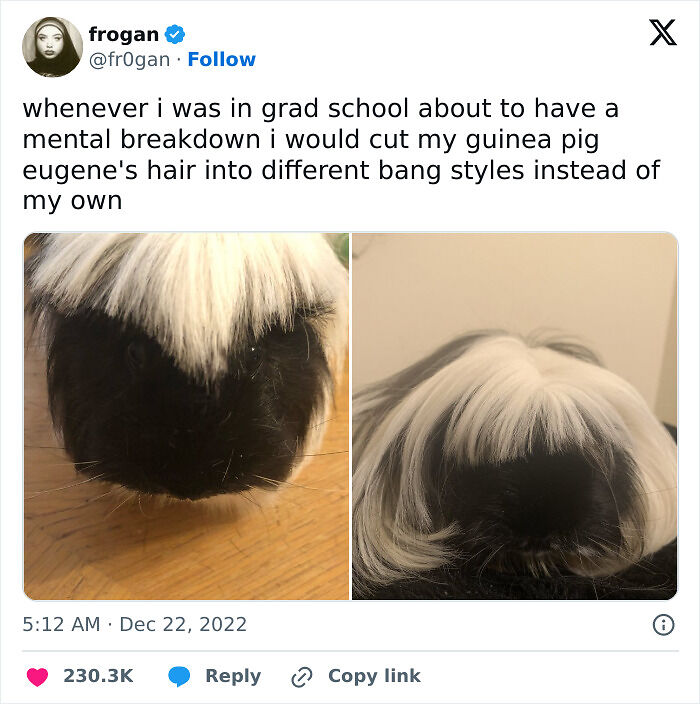 125 Posts That Prove Students And Young Adults Are Living The Best And Worst Life At The Same Time (New Pics)