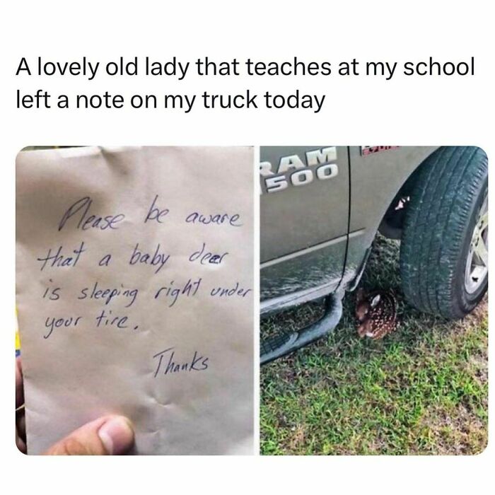 125 Posts That Prove Students And Young Adults Are Living The Best And Worst Life At The Same Time (New Pics)