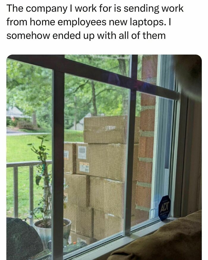 125 Posts That Prove Students And Young Adults Are Living The Best And Worst Life At The Same Time (New Pics)