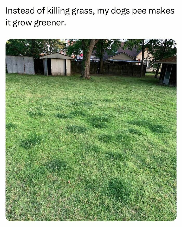 125 Posts That Prove Students And Young Adults Are Living The Best And Worst Life At The Same Time (New Pics)