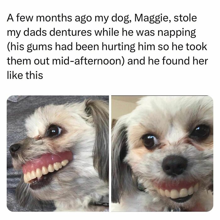125 Posts That Prove Students And Young Adults Are Living The Best And Worst Life At The Same Time (New Pics)