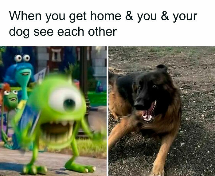 Need A Laugh? These 96 Hilarious Memes Are Here To Save Your Day (New Pics)
