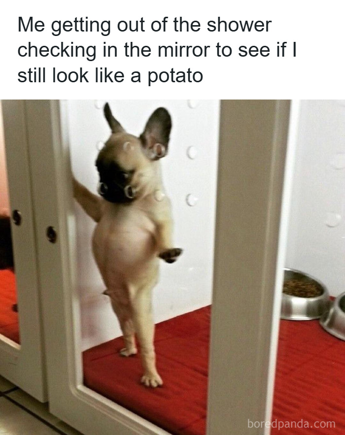 Need A Laugh? These 96 Hilarious Memes Are Here To Save Your Day (New Pics)