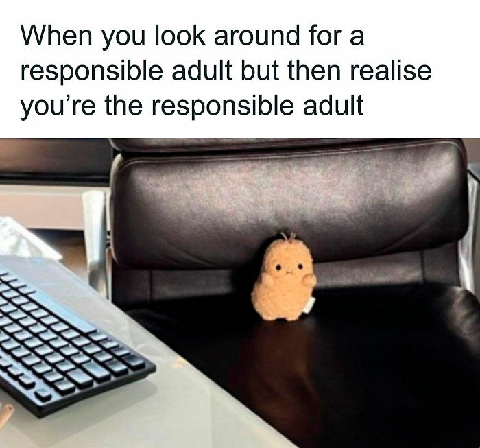 Need A Laugh? These 96 Hilarious Memes Are Here To Save Your Day (New Pics)
